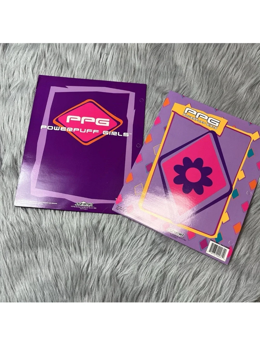 Vintage 2003 Y2K Powerpuff Girls Bundle Of 2 School Paper Folders